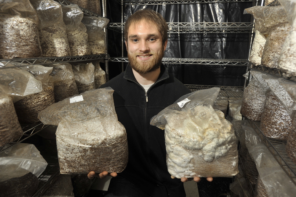 Devin Stehlin holds containers of incubating shiitake and lion’s mane mushrooms at Bountiful Mushrooms Farm.
