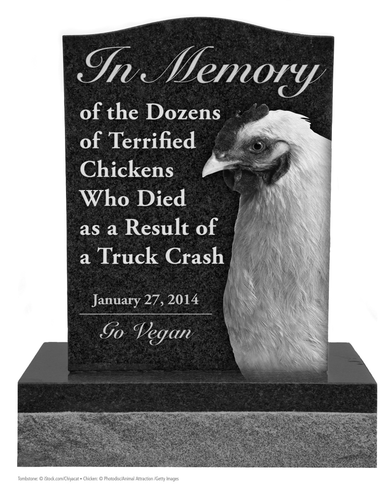 People for the Ethical Treatment of Animals is seeking permission to place a 10-foot version of this memorial near the site of a truck rollover that killed chickens.