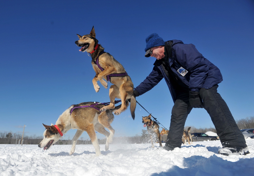 WINTER CARNIVAL: Jim Lepper, a volunteer handler with Heywood Kennel Dog Sled Adventures, holds on to an anxious team at Quarry Road Recreational Area in Waterville on Saturday. Heywood Kennels was offering rides to anyone who wanted ride in the sled.