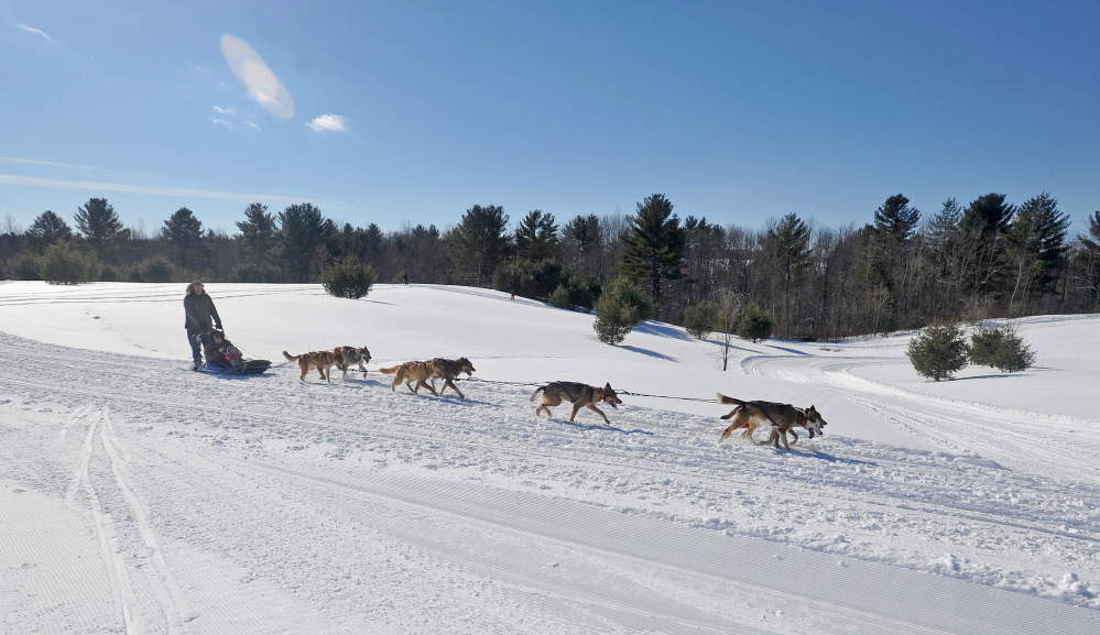Running in Circles: A dog sled team runs along the trails at Quarry Road Recreational Area in Waterville on Saturday as part of the annual Winter Carnival.