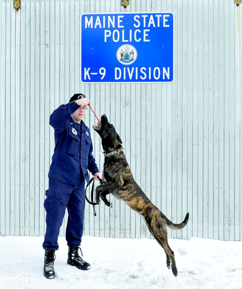 GOOD DOG: Maine State Police K-9 Unit trainer Scott Dalton rewards his dog Ginger with a ball toy during training exercises at the Vasslaboro facility on Monday.