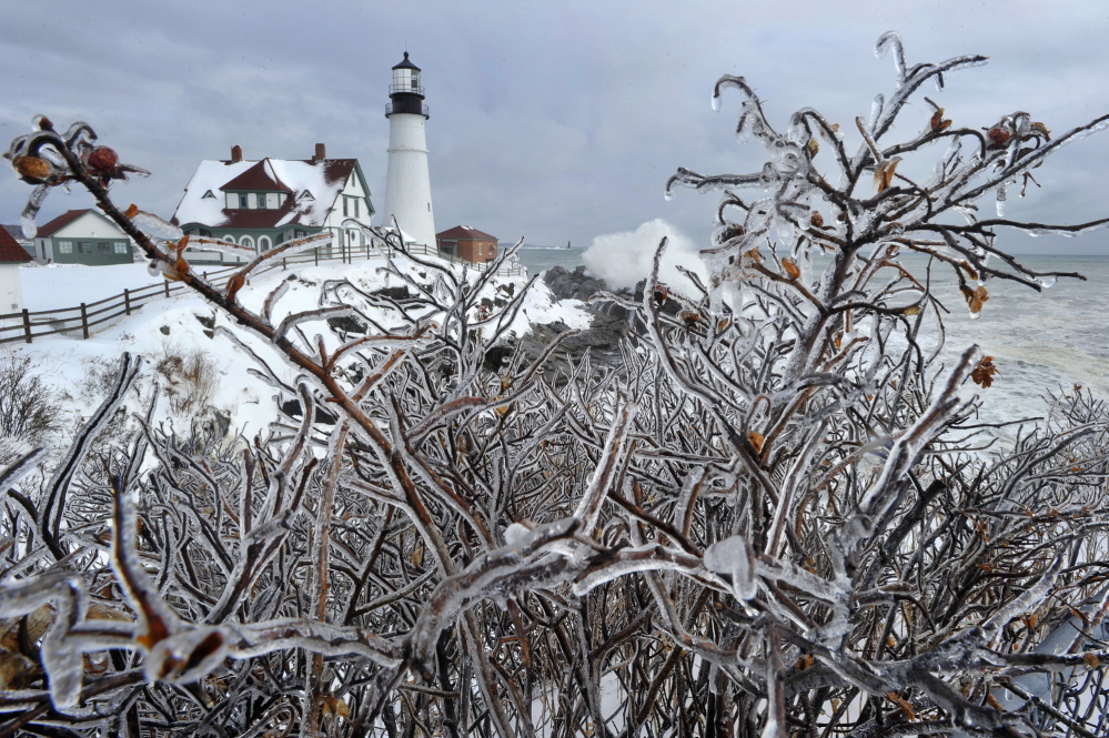 Ice-encased rosebushes frame a view of Portland Head Light in Cape Elizabeth on Friday, a day after heavy wet snow blanketed the state.