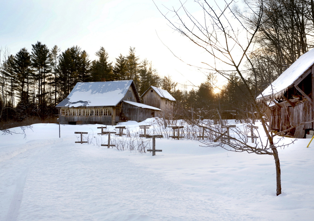 This is a view outside Khadighar Farm in Industry, home to Will Bonsall, his wife, Molly, and their two sons. The Waterville native settled here more than four decades ago and in that time has earned a reputation as one of the foremost seed curators in the country.