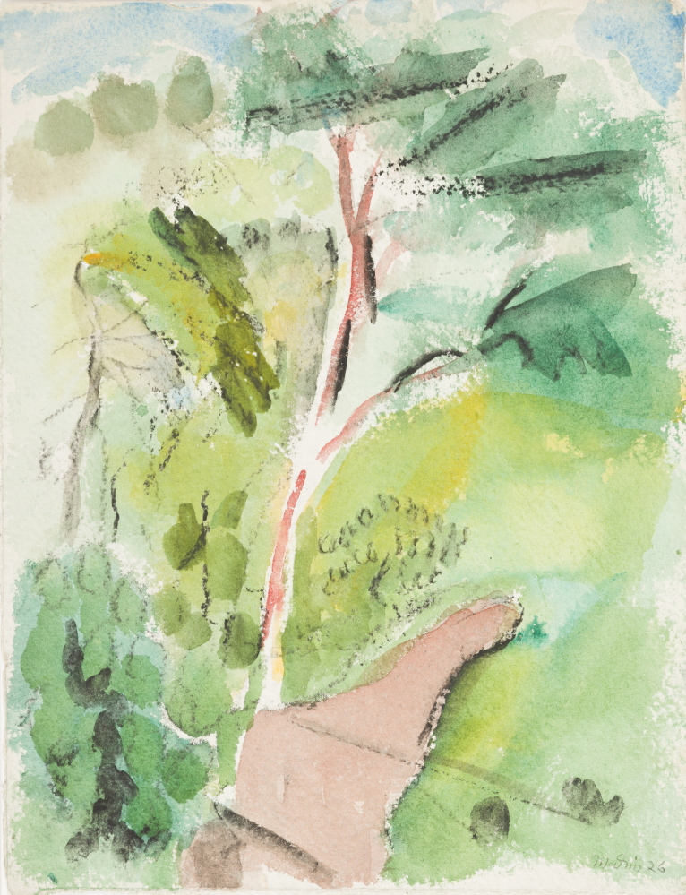 Tree, Stonington, Deer Isle, 1926. Watercolor on paper by John Marin.