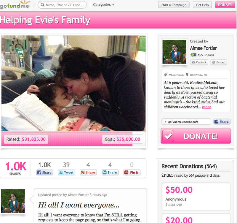 This screen shot shows the page for Evalise McLean on GoFundMe.