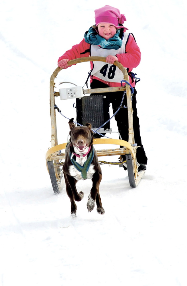 ONE ON ONE: Rylee Turner, 5, of Jay, and her dog Ariel compete in the Kid’s 1 Dog races during the 10th annual Farmington Dog Sled race at the Bussie and Brenda York farm on Sunday. There were junior and pro divisions with up to eight-dog teams.