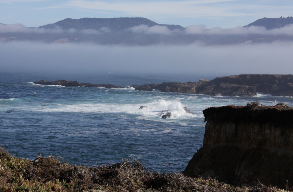 The California coast’s Point Arena-Stornetta Public Lands will be designated a national monument, according to White House officials. The move has broad local support and is seen as significant by conservationists.