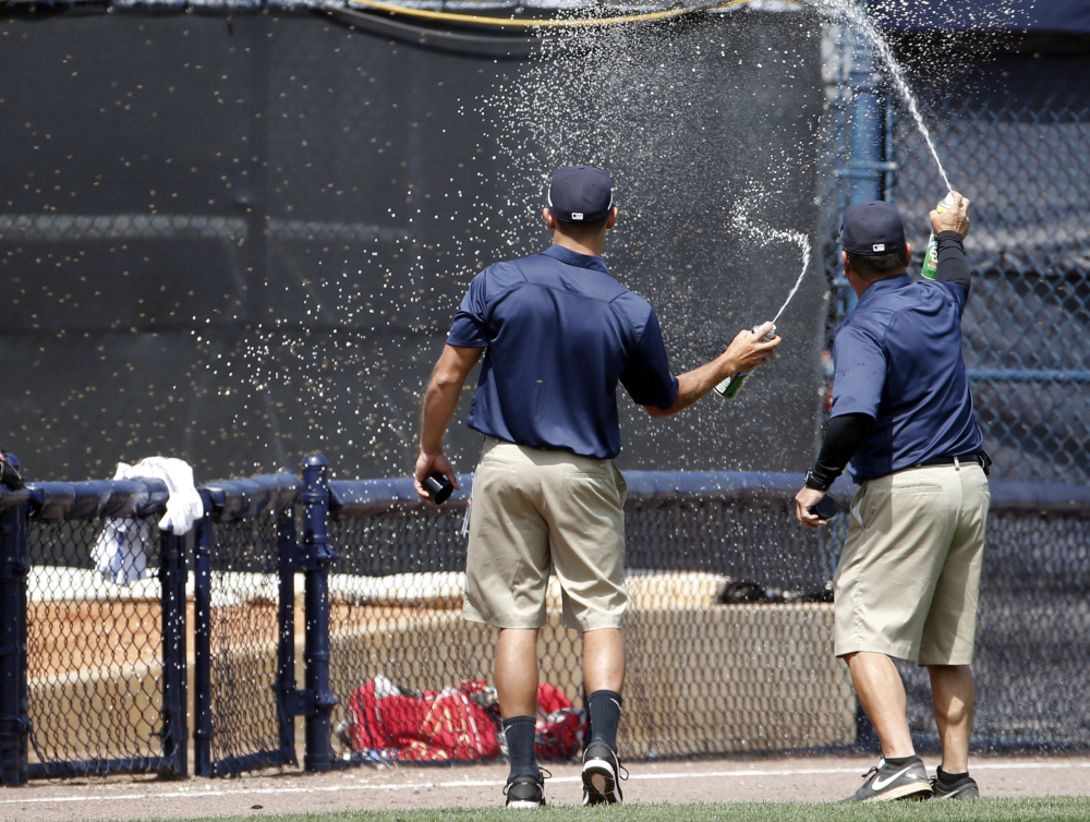 Groundskeepers spray insecticide on a swarm of bees that came from left field into the Boston Red Sox bullpen in the bottom of the third inning of a spring exhibition baseball game against the New York Yankees in Tampa, Fla., Tuesday, March 18, 2014. The game was delayed while the swarm was eradicated.