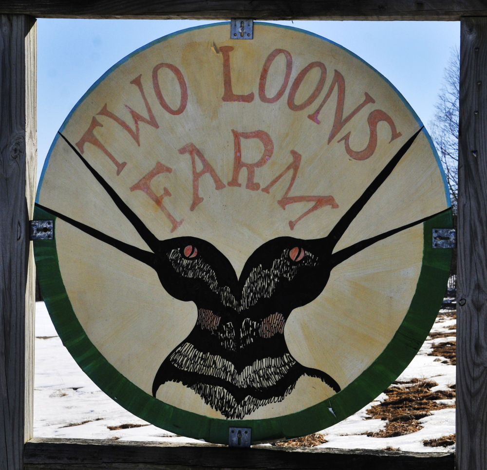 More milk, Please: Spencer Aitel and Paige Tyson, owners of Two Loons Farm, sell their milk to Maine’s Own Organic.