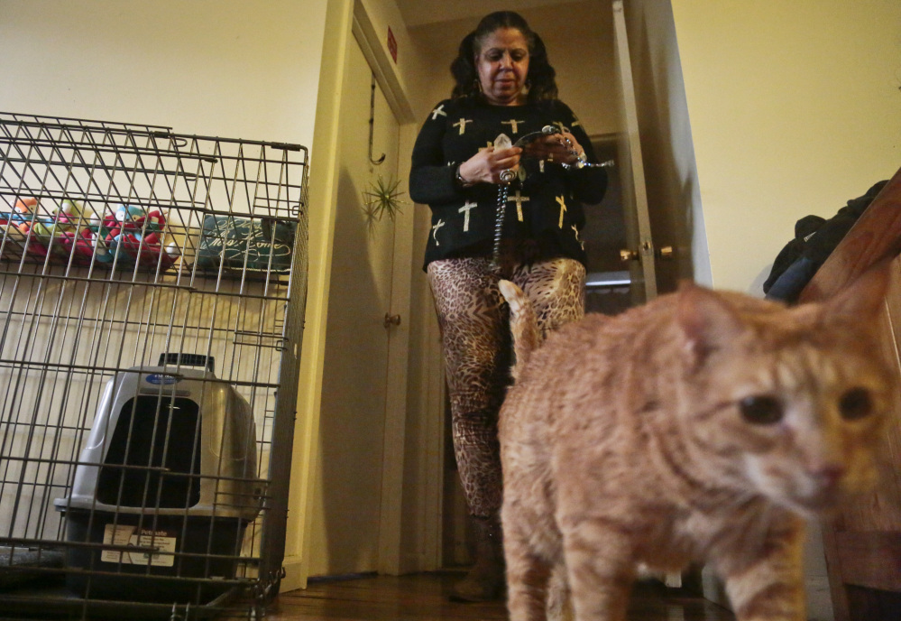 Pamela Isaac and one of her three cats, Lucy, share an apartment at a shelter for victims of domestic violence in New York.