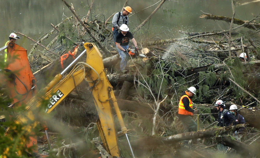 A worker uses a chainsaw to cut a tree next to a “PV” marker, which stands for “possible victim,” Sunday in the debris field of the landslide that struck Oso, Wash., on March 22, 2014.