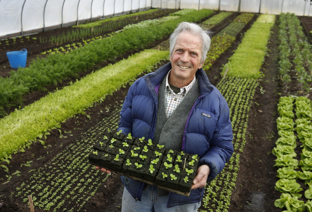 Longtime organic farmer Eliot Coleman poses for a photo in one of the greenhouses at Four Season Farm in Harborside in March.