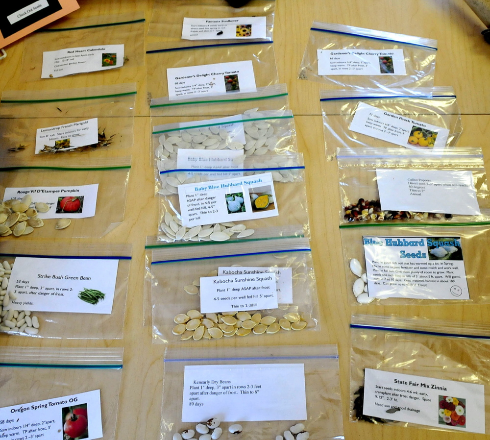 ON LOAN: Packages of vegetable seeds are available for patrons of the Norridgewock Public Library in a program that provides the seeds at no cost and asks that growers return seeds in the fall from harvested produce.