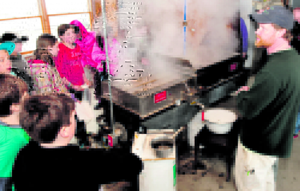 SWEET STEAM: As maple sap boils, Maine Academy of Natural Sciences teacher Jeff Chase speaks on Wednesday to Cornville Regional Charter School students, including Lydia Dore, facing at left of evaporator.