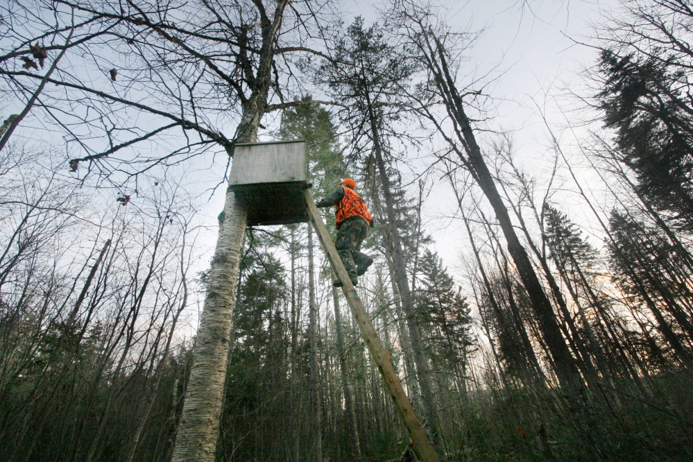 Bob Lowell climbs into a tree stand near Moose-Valley-Camp in November 2007 to watch his brother David stalking deer. This year the Maine will issue 10,000 fewer any-deer permits as it tries to rebuild the deer population up north.