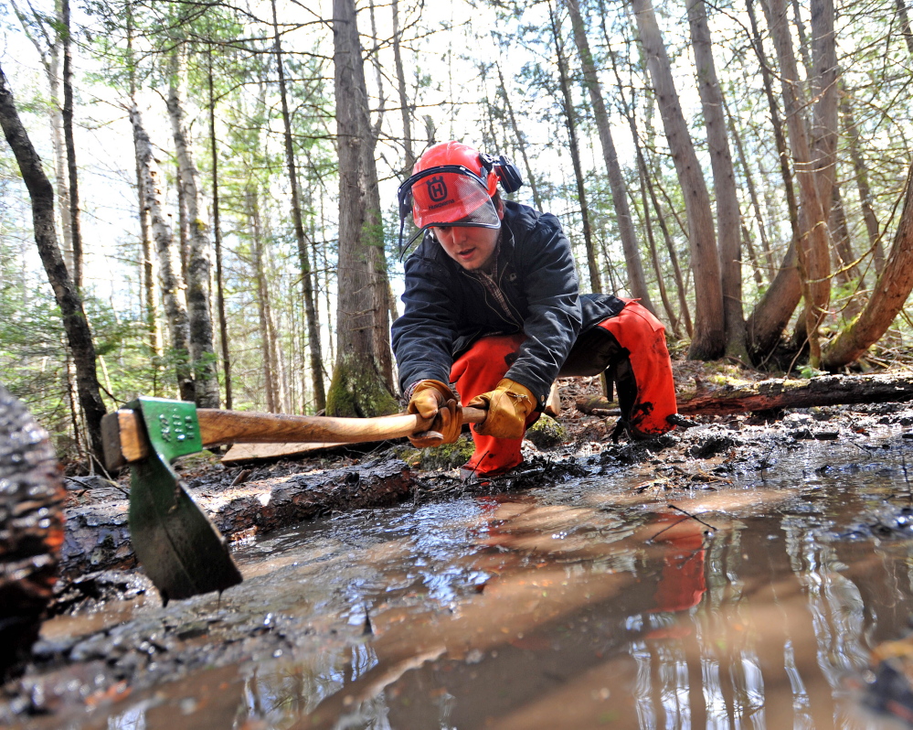 DIRTY WORK: Zach Monroe, a Unity College senior and trail crew coordinator, digs a trench for a log as he helps a crew to build a bog bridge on the Nature Trail as part of Unity College Community Trail Day on Saturday.
