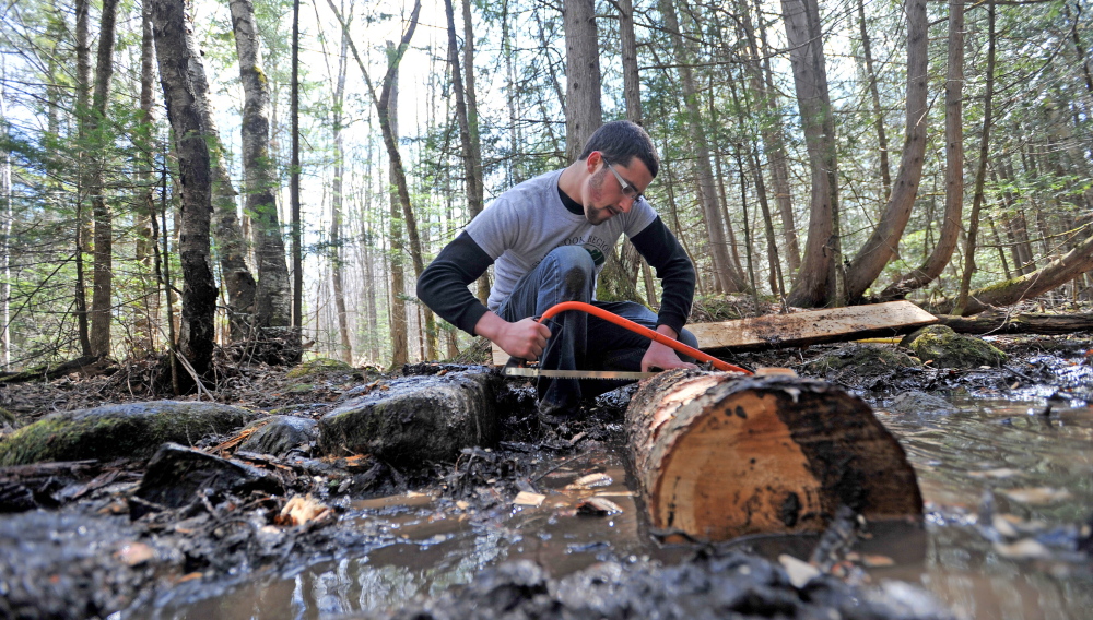 Kicking it up a notch: Nick Szatkowski, 19, a freshman at Unity College, cuts notches in a log as he helps to build a bog bridge on the Nature Trail as part of Unity College Community Trail Day on Saturday.