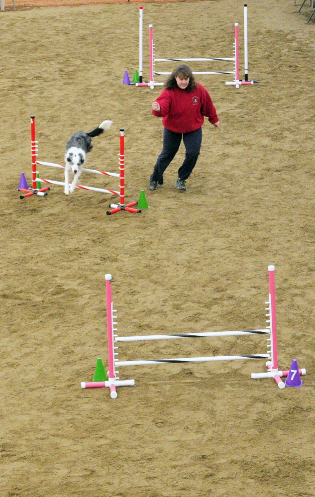 No touching: Kristie Hutchinson leads her border collie Midge over a hurdle Saturday during a dog agility contest in West Gardiner. Owners had to run their dogs through tunnels and over hurdles on the course as quickly as possible.