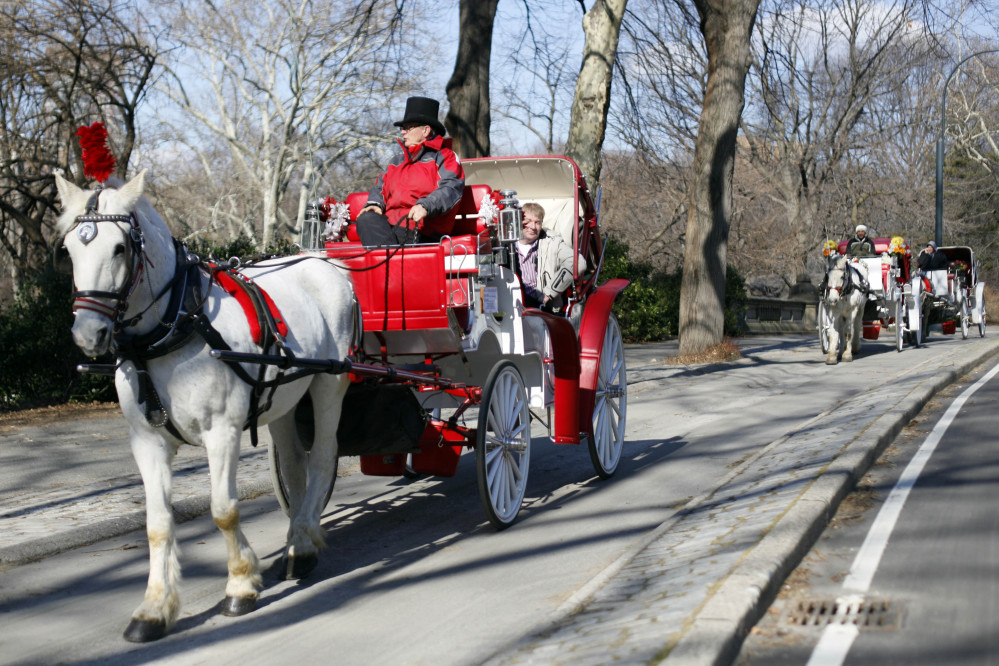 A horse-drawn carriage rolls through New York’s Central Park in this 2010 photo. At first, Mayor Bill de Blasio said he would ban the horses during his first week in office. Now, facing resistance from the usually compliant City Council, he says he will end the “inhumane” practice by year’s end.