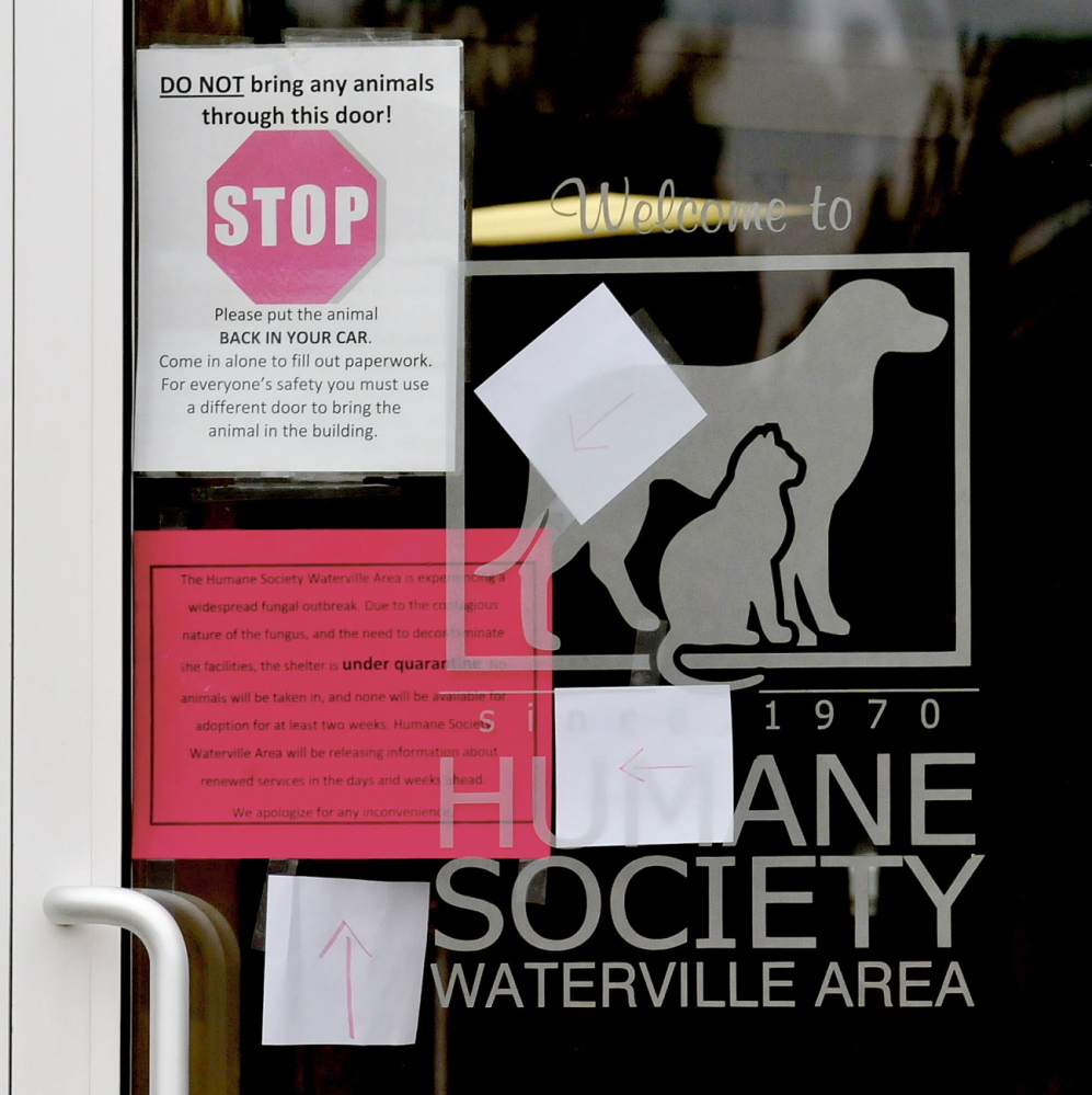 STOP: Signs on the entrance to the Humane Society Waterville Area tell patrons to stop and not bring an animal into the shelter because of a ringworm infestation on Monday.