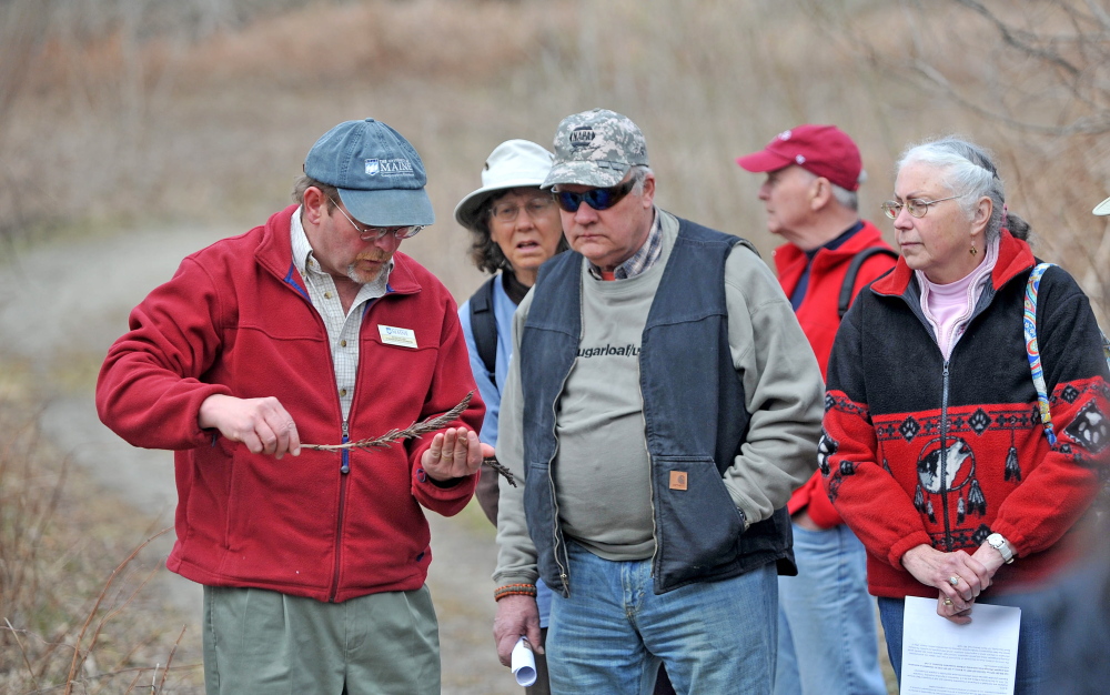 Foraging: Dave Fuller, left, offers insight on foraging for fiddlehead enthusiasts during a group foraging tour as part of the third annual Fiddelhead Festival in Farmington on Saturday.