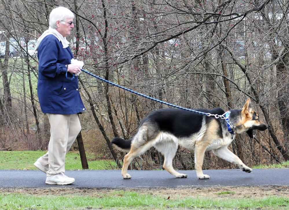 WALKIES: Alice Ladd walks her dog Prince in Waterville on Thursday.