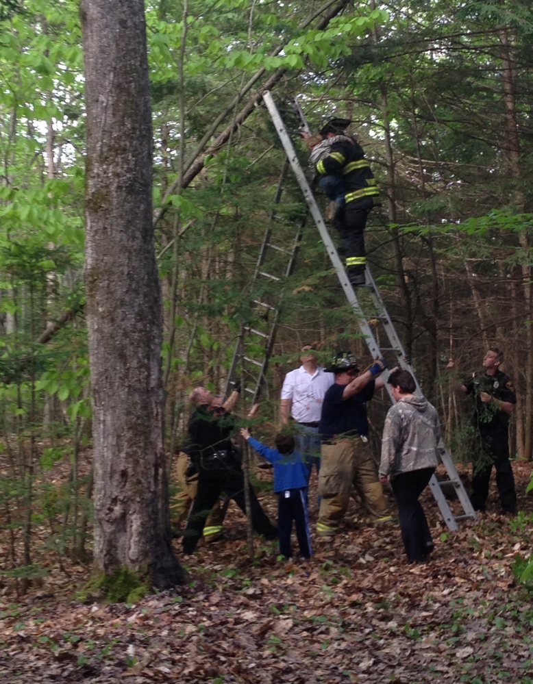 WHAT GOES UP: Winslow firefighters raise a ladder to help Richard Brewster, 5, down from a tree he had climbed Wednesday in a wooded area off China Road.