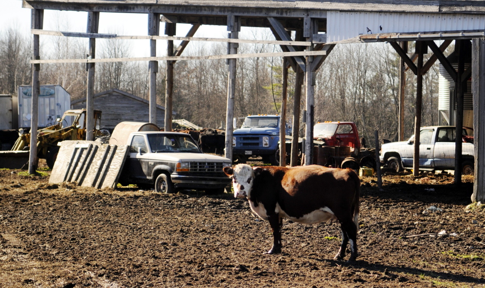 FAST AND LOOSE: Edward Munson’s farm in Readfield in 2012.