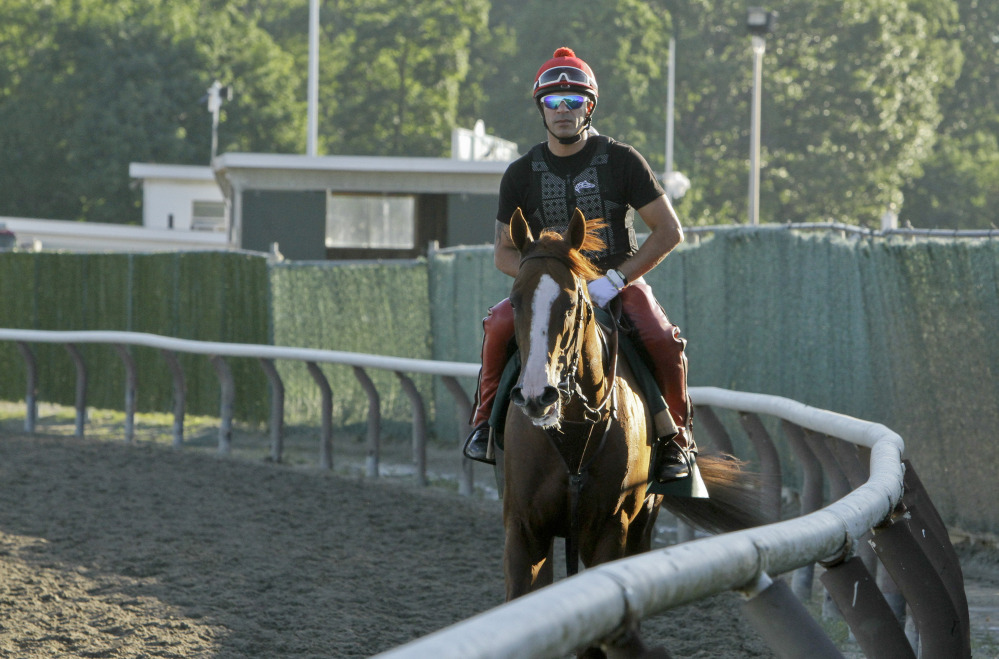 The Associated Press
Exercise rider Willie Delgado walks California Chrome back to the gap after a workout at Belmont Park, Friday in Elmont, N.Y.