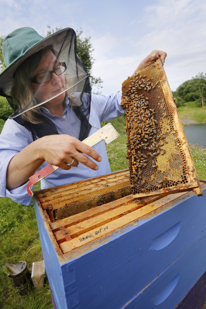 Erin MacGregor-Forbes, a master beekeeper, checks her hives in Portland. Many plants touted as “bee-friendly” are pretreated with a class of pesticides shown to harm and kill bees and other pollinating insects, according to a study to be released Wednesday at a press conference in Portland.