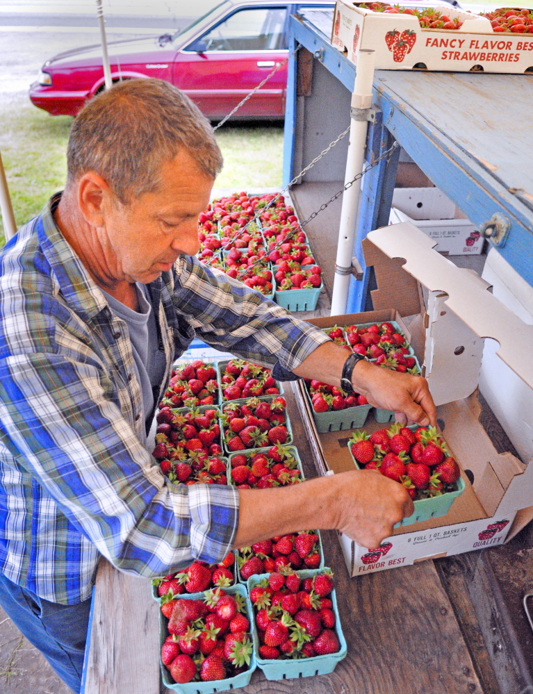 Roger Trask sets out boxes of strawberries at the Trask family stand on Wednesday in Manchester. He runs the stand near the Irving station on U.S. Route 202 with his brother Kenny Trask. They said that their father Edward Trask and other family members have had produce stands at different places along the highway for about 60 years.