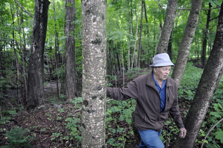 Lloyd McCabe, 90, walks through the land he purchased near his farm in Monmouth on Thursday. McCabe plans to donate the small structure and the land along Mud Stream to the town for a park.