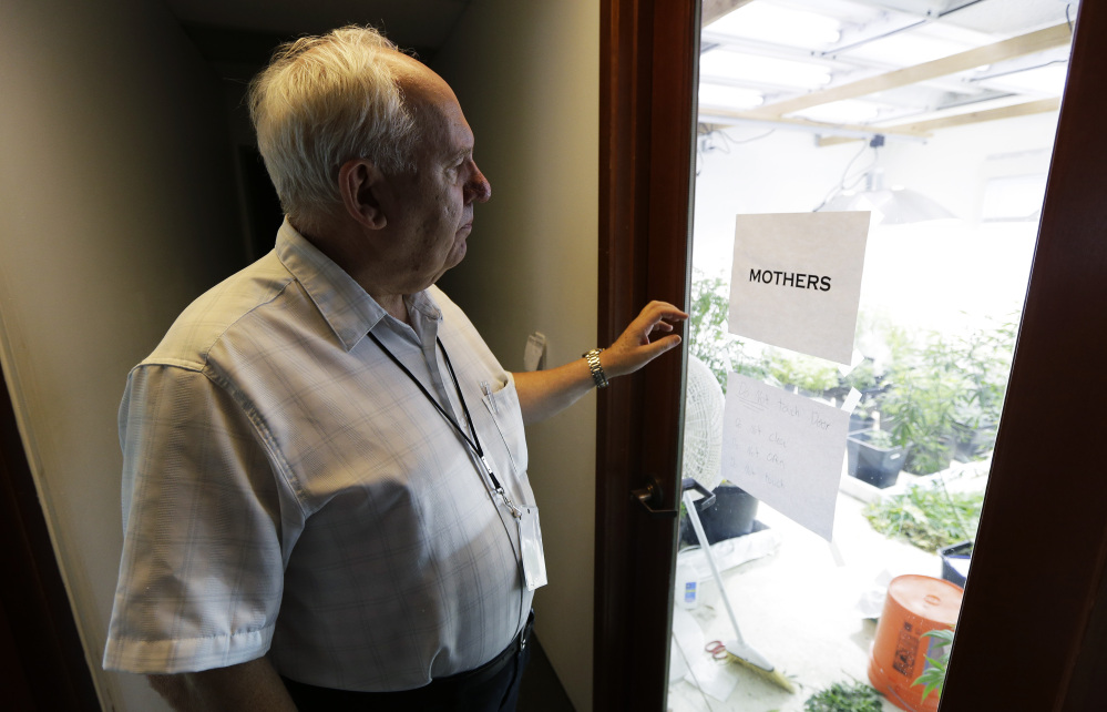 Bob Leeds, who retired from banking and social-services work to become a partner at Sea of Green Farms, a licensed pot-grower in Seattle, stands outside the room where plants used to clone smaller plants are kept. Sea of Green is licensed to grow some of the first pot that will be legally sold for recreational use in Washington state starting in July.