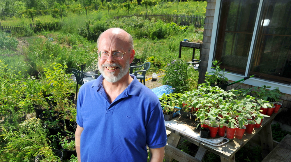 Richard Thomas, of Waterville, stands with 47 sunflowers at his home on Wednesday, July 2, 2014, that will be planted as part of a memorial service for the one year anniversary of the Lac-Magantic rail disaster that killed 47 people in 2013.