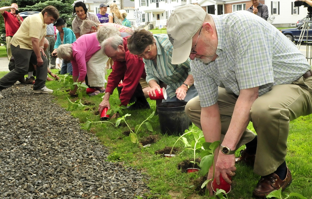 Participants in a memorial Sunday, July 7, 2014, for the Lac-Megantic oil train tragedy plant sunflowers beside the Universalist Unitarian church in Waterville for the 47 victims who died in the inferno a year ago.