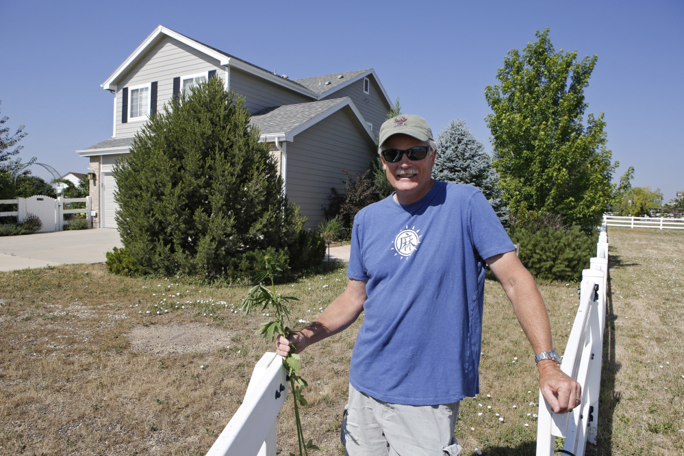 Jim Denny posing in front of his home in Brighton, Colo. Denny learned the hard way that he needed neighbors’ permission before growing hemp, marijuana’s non-intoxicating cousin.