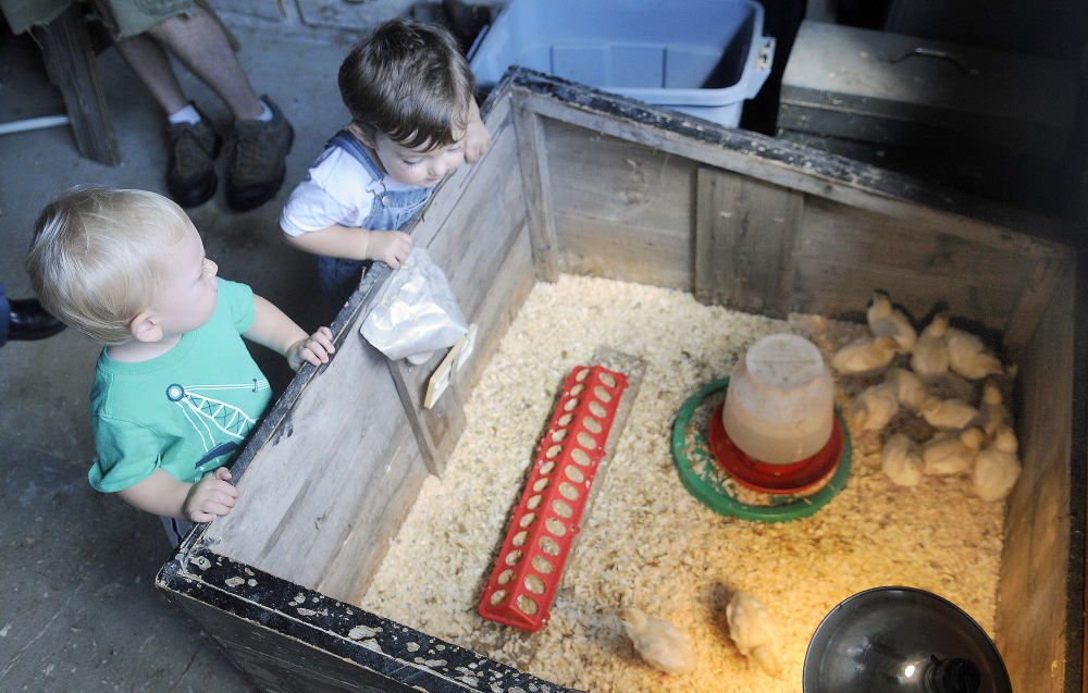 Gardiner farm opens as part of statewide agricultural promotion