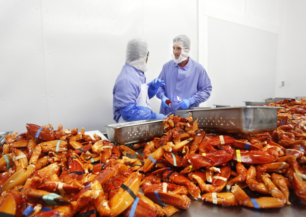 Luke Holden, right, processes cooked Maine lobster claws at his Cape Seafood facility in Saco. He also owns 13 Luke’s Lobster restaurants, with locations in New York, Washington, D.C., and Philadelphia.