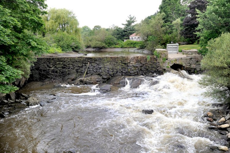 Mon. July 16, 2012. Draw down of river at Stroudwater Dam in Portland. John Patriquin/Staff Photographer.