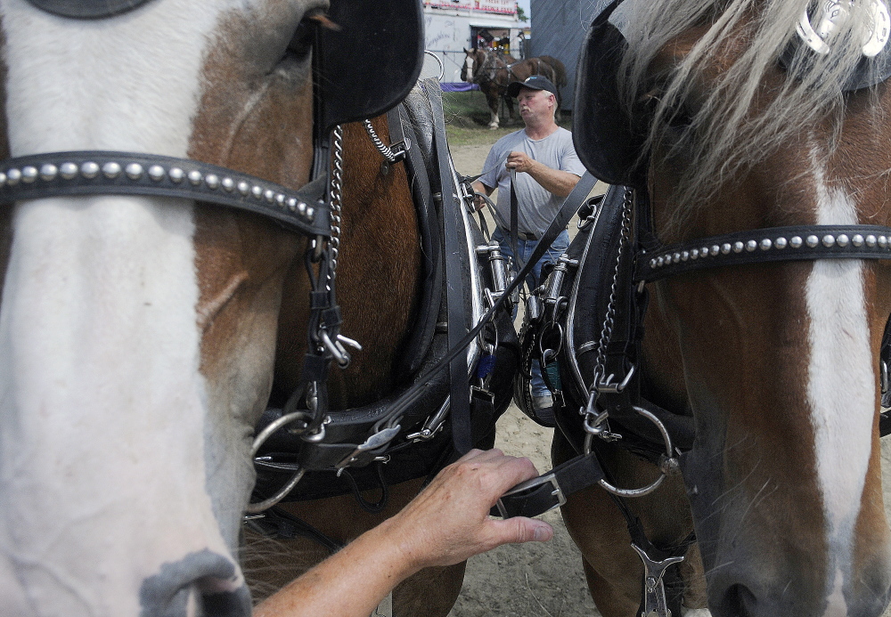 Gordon Grover of Otisfield emerges from the pulling ring Sunday with his team of Belgians during the farmer’s pull at the Monmouth Fair. Teams of horses and mules from across Maine competed in the event.