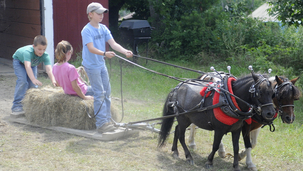 Logan Robinson, 10, drives his team of miniature horses Sunday with his twin sister, Lauren, and their buddy, Carter Currier, 10, of Oxford. The Robinsons, of Litchfield, competed with the team during the farmer’s scoot on the last day of Monmouth Fair.
