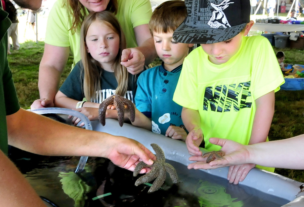 From left, Carly Spencer, Brady Bryant and Colt Robinson have a close encounter with lobsters, starfish and sea urchins Wednesday while visiting a live exhibit of sea life put on by the Maine Education Experience Unlimited organization during the two-day Maine Farm Days held at the Misty Meadows farm in Clinton.