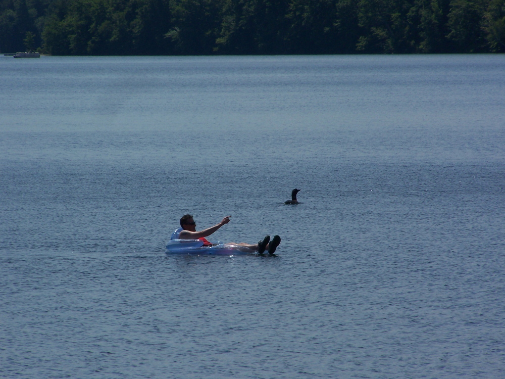 Walter O’Driscoll, of Poland, while camping on an island on Annabessacook Lake in Winthrop finds himself just two feet from Walter, a large loon people on the lake have named.