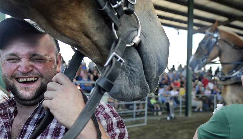 Dallas Parmenter laughs while bridling a team of horses Monday during the horse pull at the Windsor Fair. Pairs of horses from across New England competed in the event for cash prizes. Parmenter works at McGee Stables in West Gardiner.
