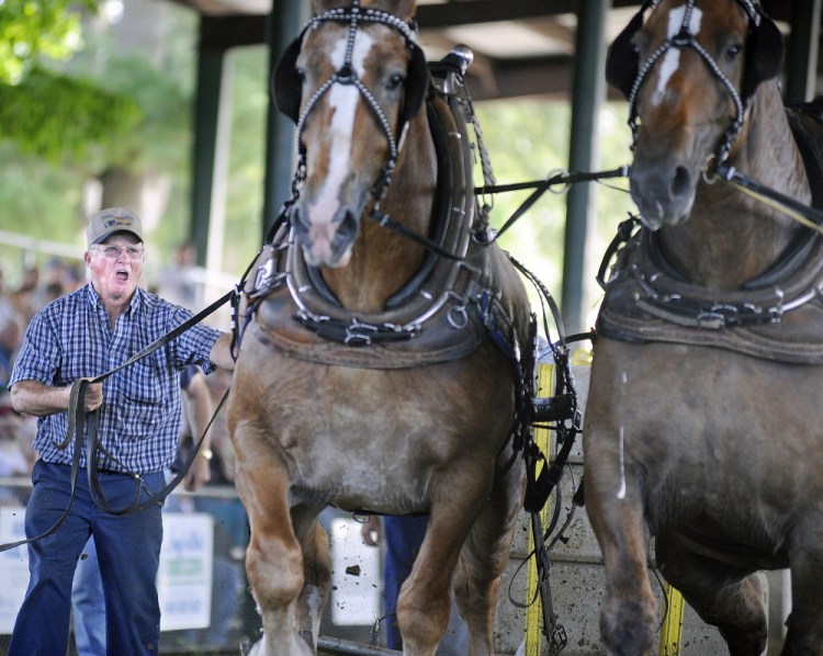 Teamster Steve Haskell of Palermo drives a team Monday during the horse pull at the Windsor Fair. Pairs of horses from across New England competed in the event for cash prizes.