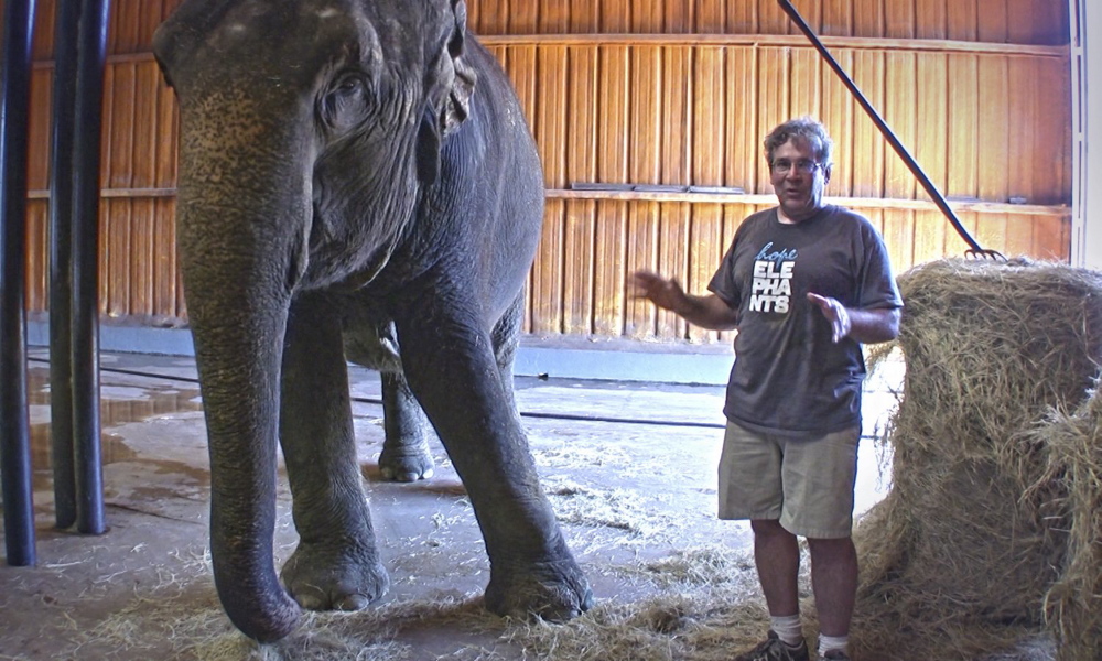 James Laurita spends time with Rosie the elephant at his sanctuary. His vision for the sanctuary included therapeutic services for the elephants along with educating students.