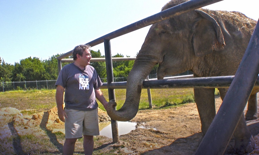 James Laurita interacts with Rosie at the Hope Elephants sanctuary in this undated photo. Hope Elephants was founded by James and Tom Laurita in 2011 to provide a home and rehabilitation center for injured and aging elephants, while also educating the public about the animals.