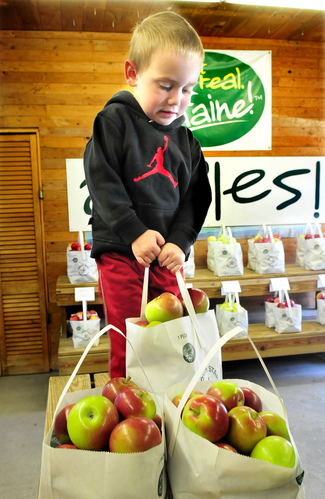 Landon Orff, 3, of Fairfield, struggles to lift a bag of apples he selected during the statewide Maine Apple Sunday held at the North Star Orchards in Madison.