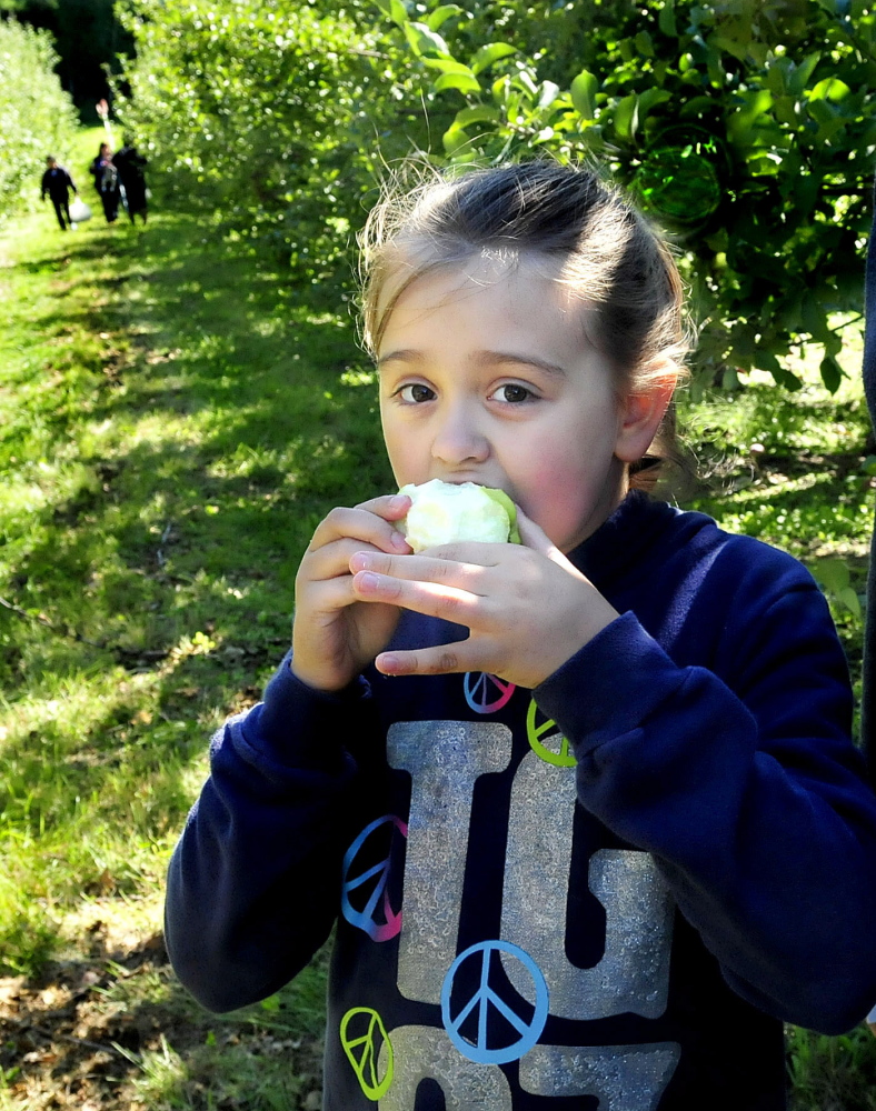 Abby Vernon chomps down on an apple she picked at North Star Orchards in Madison during the statewide Maine Apple Sunday.