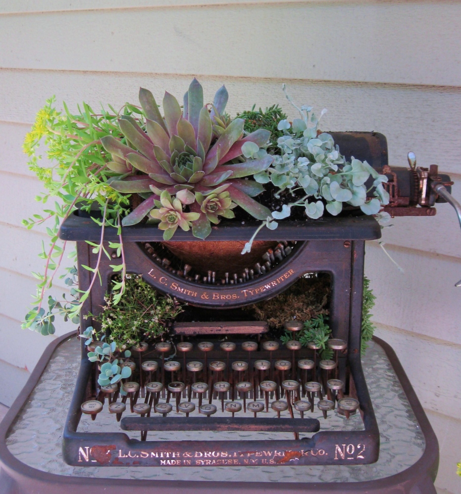 Kennebec Valley Garden Club names photo contest winners